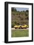 Lamborghini Miura p400s 1970-Simon Clay-Framed Photographic Print