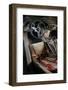 Lamborghini Miura p400s 1970-Simon Clay-Framed Photographic Print