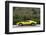 Lamborghini Miura p400s 1970-Simon Clay-Framed Photographic Print