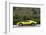 Lamborghini Miura p400s 1970-Simon Clay-Framed Photographic Print