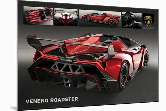 Lamborghini- Veneno Roadster-null-Mounted Poster