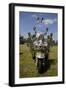 Lambretta scooter showing mod mirrors-null-Framed Photographic Print