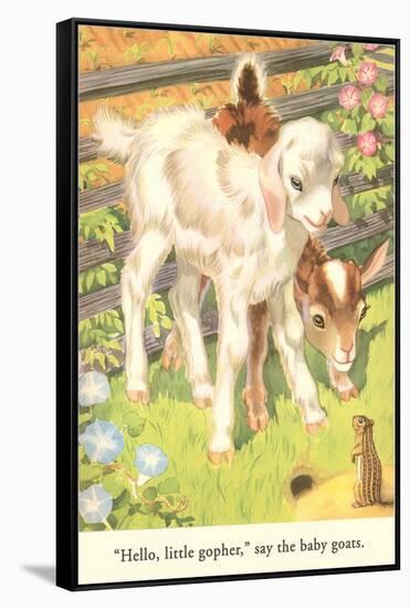 Lambs and Gopher-null-Framed Stretched Canvas