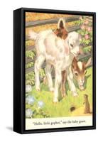 Lambs and Gopher-null-Framed Stretched Canvas