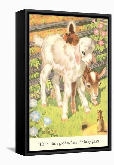 Lambs and Gopher-null-Framed Stretched Canvas