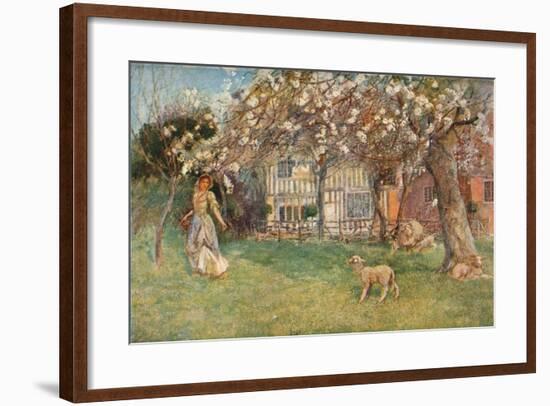 'Lambs', c1904-Herbert Alexander Collins-Framed Giclee Print