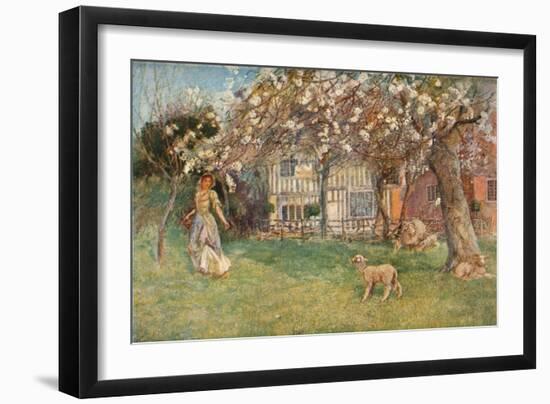 'Lambs', c1904-Herbert Alexander Collins-Framed Giclee Print