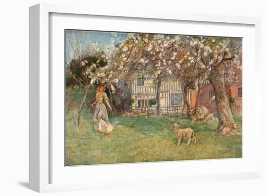 'Lambs', c1904-Herbert Alexander Collins-Framed Giclee Print