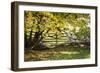 Lambs II-Alan Hausenflock-Framed Photographic Print