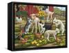 Lambs on the Loose-William Vanderdasson-Framed Stretched Canvas