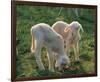 Lambs-null-Framed Art Print