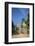 Lamego, Portugal, Shrine of Our Lady of Remedies Exterior Steps-Jim Engelbrecht-Framed Photographic Print