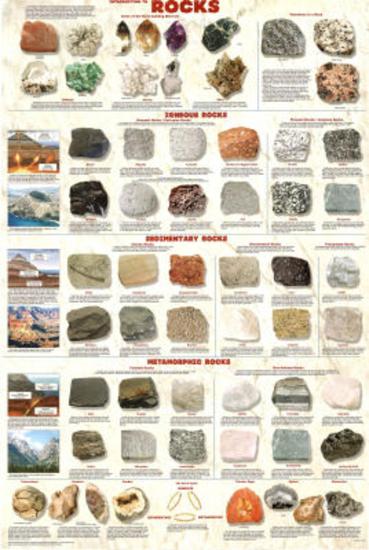 Laminated Poster, , large