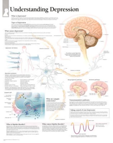 Laminated Poster, , large
