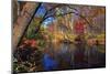 Lamington River At Tewksbury, New Jersey-George Oze-Mounted Photographic Print