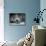 Lamp and Chair Inside Home-null-Mounted Photographic Print displayed on a wall