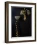 Lamp and Wall Light in Gilded Bronze and Glass in Shape of Lilies-Louis Majorelle-Framed Giclee Print