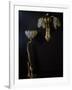 Lamp and Wall Light in Gilded Bronze and Glass in Shape of Lilies-Louis Majorelle-Framed Giclee Print