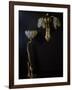 Lamp and Wall Light in Gilded Bronze and Glass in Shape of Lilies-Louis Majorelle-Framed Giclee Print