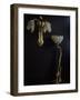 Lamp and Wall Light in Gilded Bronze and Glass in Shape of Lilies-Louis Majorelle-Framed Giclee Print