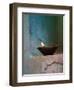 Lamp in a Little Shrine Outside Traditional House, Varanasi, India-Keren Su-Framed Photographic Print