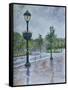 Lamp Posts-Rusty Frentner-Framed Stretched Canvas