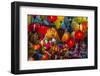 Lamp shop, Hoi An. Tet Festival, New Year celebration, Vietnam.-Tom Norring-Framed Photographic Print