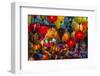 Lamp shop, Hoi An. Tet Festival, New Year celebration, Vietnam.-Tom Norring-Framed Photographic Print