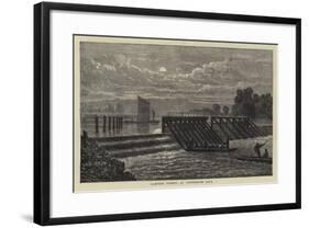 Lampern Fishing at Teddington Lock-null-Framed Giclee Print