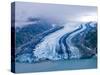 Lamplugh Glacier, Glacier Bay National Park, Alaska, Pacific Northwest, Usa-Jerry Ginsberg-Stretched Canvas