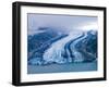 Lamplugh Glacier, Glacier Bay National Park, Alaska, Pacific Northwest, Usa-Jerry Ginsberg-Framed Photographic Print