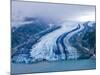 Lamplugh Glacier, Glacier Bay National Park, Alaska, Pacific Northwest, Usa-Jerry Ginsberg-Mounted Photographic Print