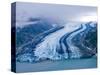 Lamplugh Glacier, Glacier Bay National Park, Alaska, Pacific Northwest, Usa-Jerry Ginsberg-Stretched Canvas