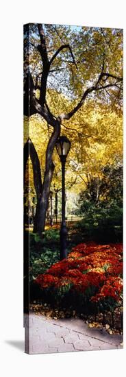 Lamppost in a Park, Central Park, Manhattan, New York City, New York, USA-null-Stretched Canvas