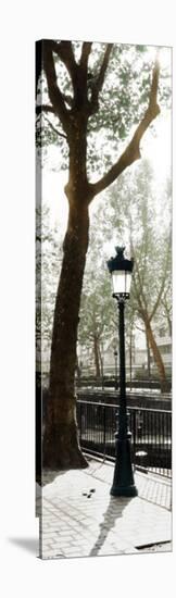 Lamppost-Joane Mcdermott-Stretched Canvas