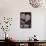 Lampropeltis Alterna (Grey-Banded Kingsnake)-Paul Starosta-Framed Stretched Canvas displayed on a wall