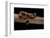 Lampropeltis Triangulum Hondurensis (Honduras Milksnake)-Paul Starosta-Framed Photographic Print