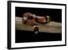 Lampropeltis Triangulum Hondurensis (Honduras Milksnake)-Paul Starosta-Framed Photographic Print