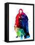 Framed Canvas