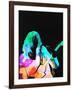 Gramercy Espresso