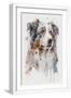 White Frame