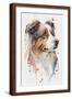 Brown Frame