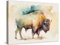 Stretched Canvas