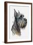 Brown Frame