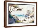 Brown Frame