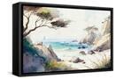 Canvas Black