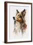 Brown Frame