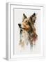 White Frame