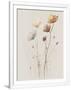Gramercy White
