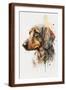 Brown Frame